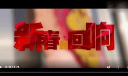 最新回响爆料视频大全,揭秘热点事件背后的真相与内幕