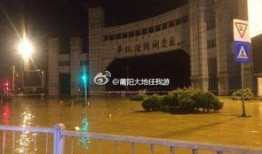 华林工业区最新爆料,揭秘产业升级背后的故事