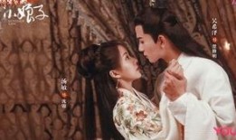 将军家的小娘子电视剧,乱世情缘，烽火佳人