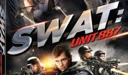 《美国行动》在线观看,揭秘特工风云的惊心动魄