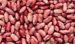 红麻豆,天然营养宝库的奥秘探索