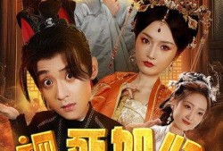 大人电视剧,揭秘都市精英的职场与情感纠葛