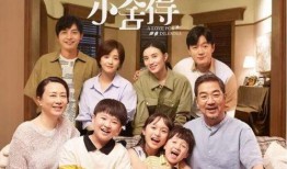 家庭的电视剧,温馨岁月里的喜怒哀乐