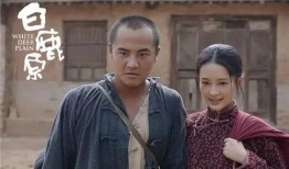电视剧《白鹿原》,探寻历史变迁中的家族命运与人性挣扎
