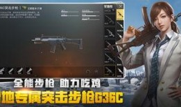 绝地求生爆料校长视频播放,揭秘游戏幕后真相