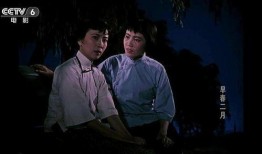 早春二月电视剧,青春岁月的温暖回响