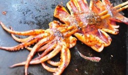 冰鲜大鱿鱼爆料方法视频,轻松解锁美味烹饪秘诀