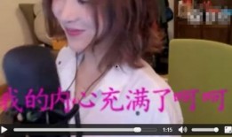 四姐被爆料风波视频,真相与争议交织