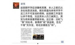 卓伟爆料颖宝视频,卓伟独家爆料引发热议