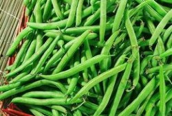 红麻豆,天然营养宝库的奥秘探索