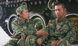 好看的军旅电视剧,军旅荣耀，热血铸就