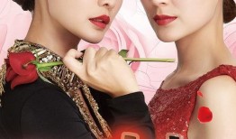 电视剧女人的战争,情感与权力的较量