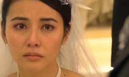 蒙嘉慧电视剧,演绎人生百态，电视剧中的情感传奇