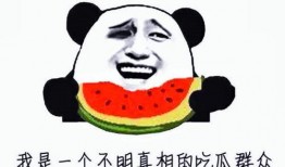 娱乐吃瓜不想停播了吗,停播传闻不攻自破