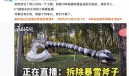 最新爆料暴雪事件新闻,揭秘幕后真相与影响