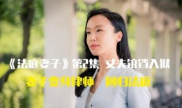 妻子 电视剧,揭秘婚姻背后的情感纠葛与人性挣扎