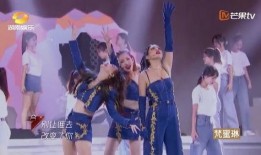 郑心怡爆料宁静视频,揭秘娱乐圈背后的真相