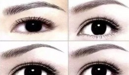 爆料纹眉视频播放,视频曝光热门纹眉技巧与效果