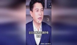 靳东近期主演的电视剧,权谋与情感交织的官场风云