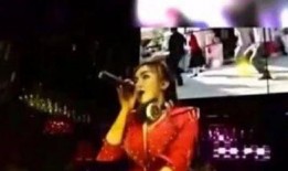 李子柒夜店爆料视频网站,揭秘网红生活幕后真相