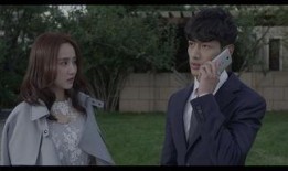 女总裁电视剧,女总裁的商战传奇