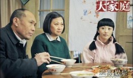 电视剧大家庭,温情岁月里的亲情交响曲