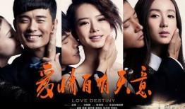 情感电视剧,情感纠葛中的爱与救赎