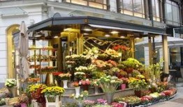 唐山花店吃瓜网红是谁,她是如何成为网络红人的？