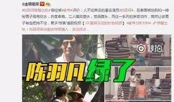 武成侯最新爆料视频大全,揭秘幕后真相与精彩瞬间