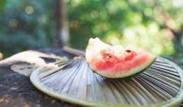 娱乐吃瓜免费吃瓜入口,吃瓜入口等你来开启！