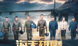 飞行电视剧,揭秘飞行电视剧背后的真实世界