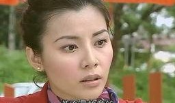 蒙嘉慧电视剧,演绎人生百态，电视剧中的情感传奇