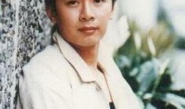 何宝生电视剧,演绎传奇人生，诠释情感纠葛