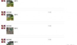 新闻爆料举报热线电话,守护正义的守护者