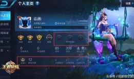 王者258最新爆料,神秘英雄登场，游戏格局或将重塑