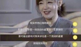 女子爆料胡歌视频大全,揭秘明星私生活背后的真相