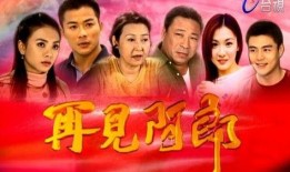 再见阿郎电视剧,深情告别，谱写人生传奇