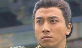 吴卓羲电视剧,从热血青年到成熟大叔的蜕变之路