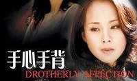 手心手背电视剧,命运交织的亲情纠葛
