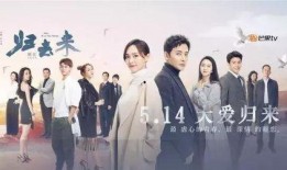 电视剧归去来剧情,青春追梦，情感纠葛，揭秘人生百态