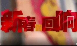 最新回响爆料视频大全,揭秘热点事件背后的真相与内幕