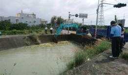 麻豆区,探寻台湾南部的时尚魅力与悠闲生活