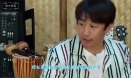 海清爆料黄磊视频,娱乐圈真相再掀波澜