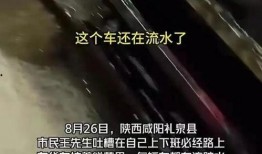 香港大瓜爆料视频在线观看,独家揭秘幕后真相