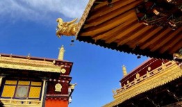 玄奘寺被爆料了吗视频讲解,视频讲解背后的故事