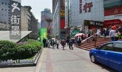 拾花摄麻豆,探寻自然之美与时尚风采的完美融合