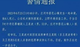 辽宁省内爆料案件最新,神秘案件背后真相揭晓