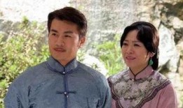 换子成龙电视剧,命运交织的父子传奇