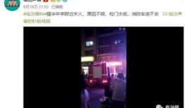 礼包车最新爆料视频播放,揭秘视频中的精彩瞬间与亮点