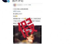 忆崽崽爆料视频,幕后故事大公开